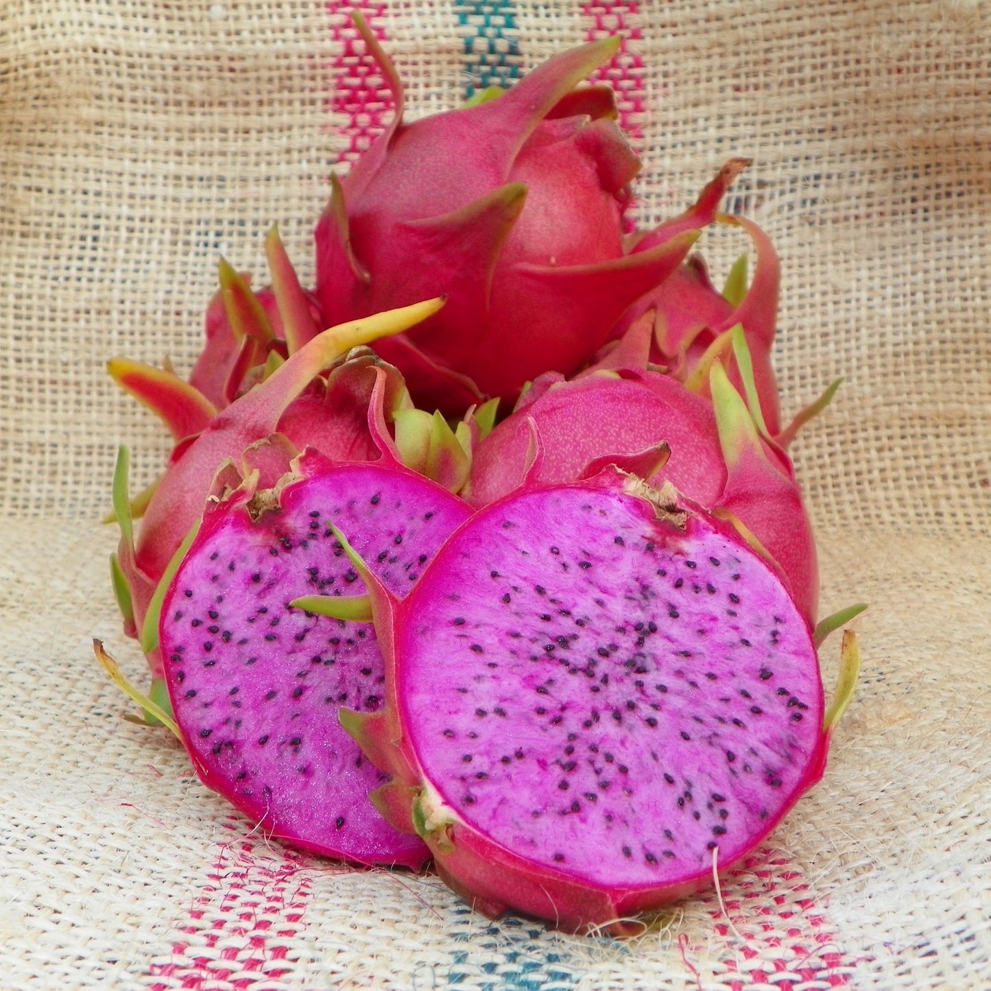 Dragonfruit, Physical Graffiti