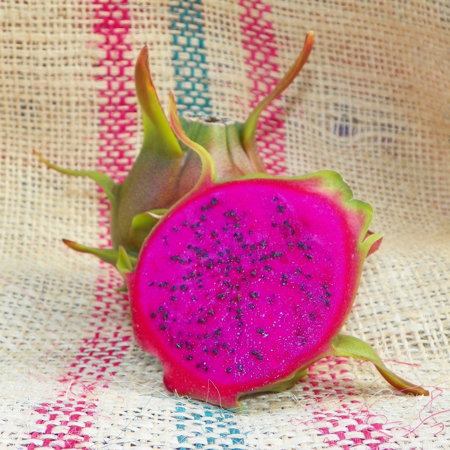 Dragonfruit, Condor