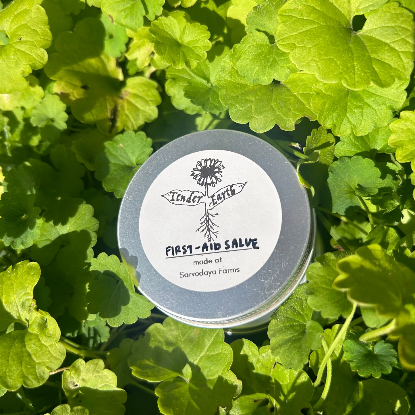 Skin Support Herbal Steam by Tender Earth