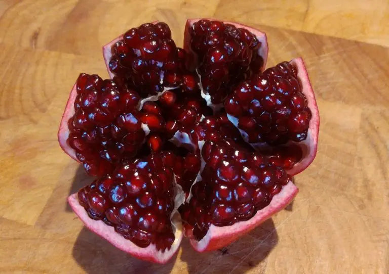 Pomegranate, Sogdiana