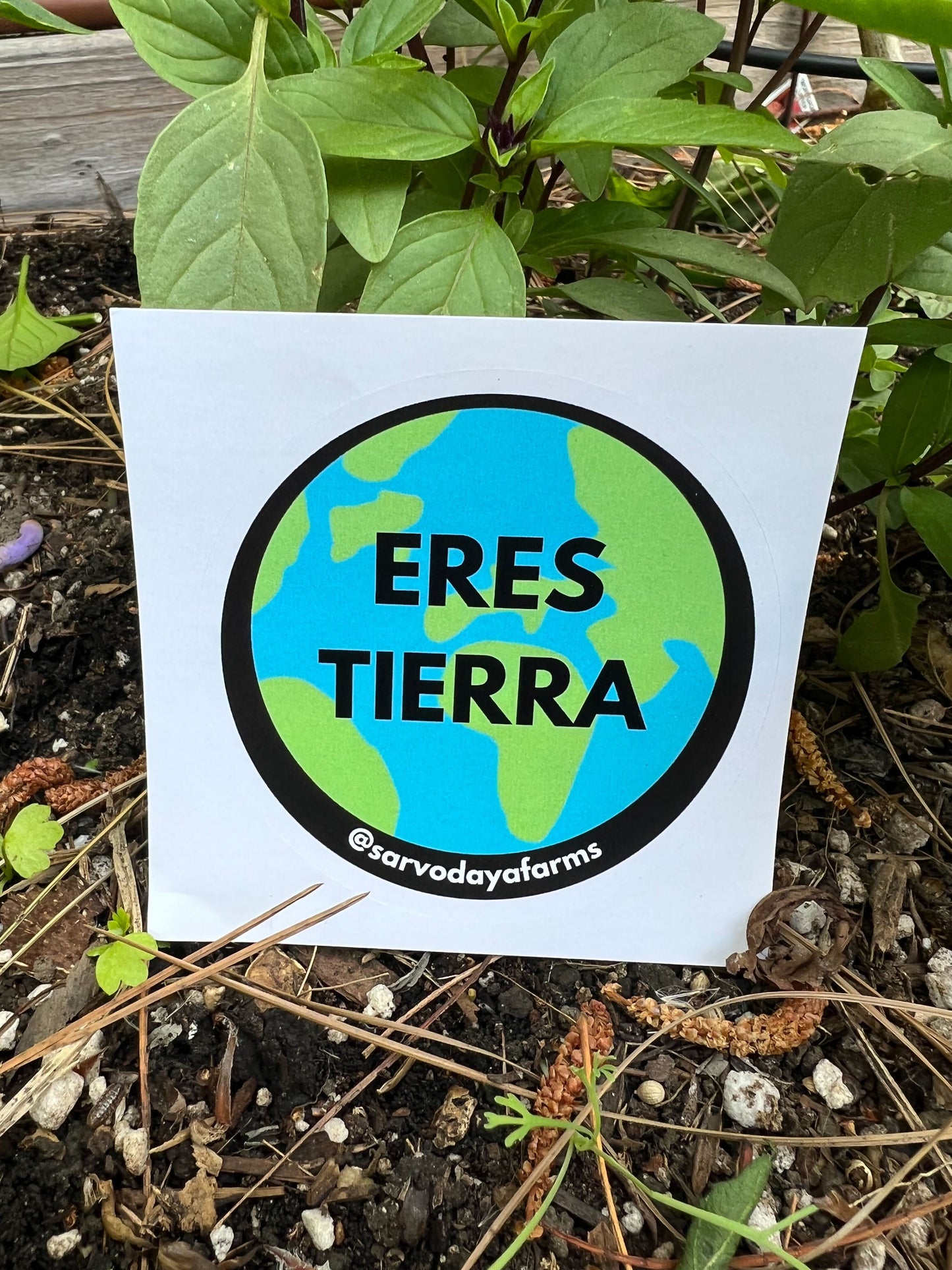 Sarvodaya Farms Sticker Pack #1