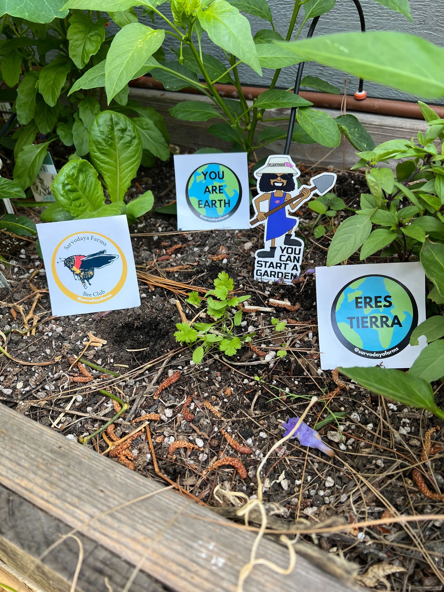 Sarvodaya Farms Sticker Pack #1