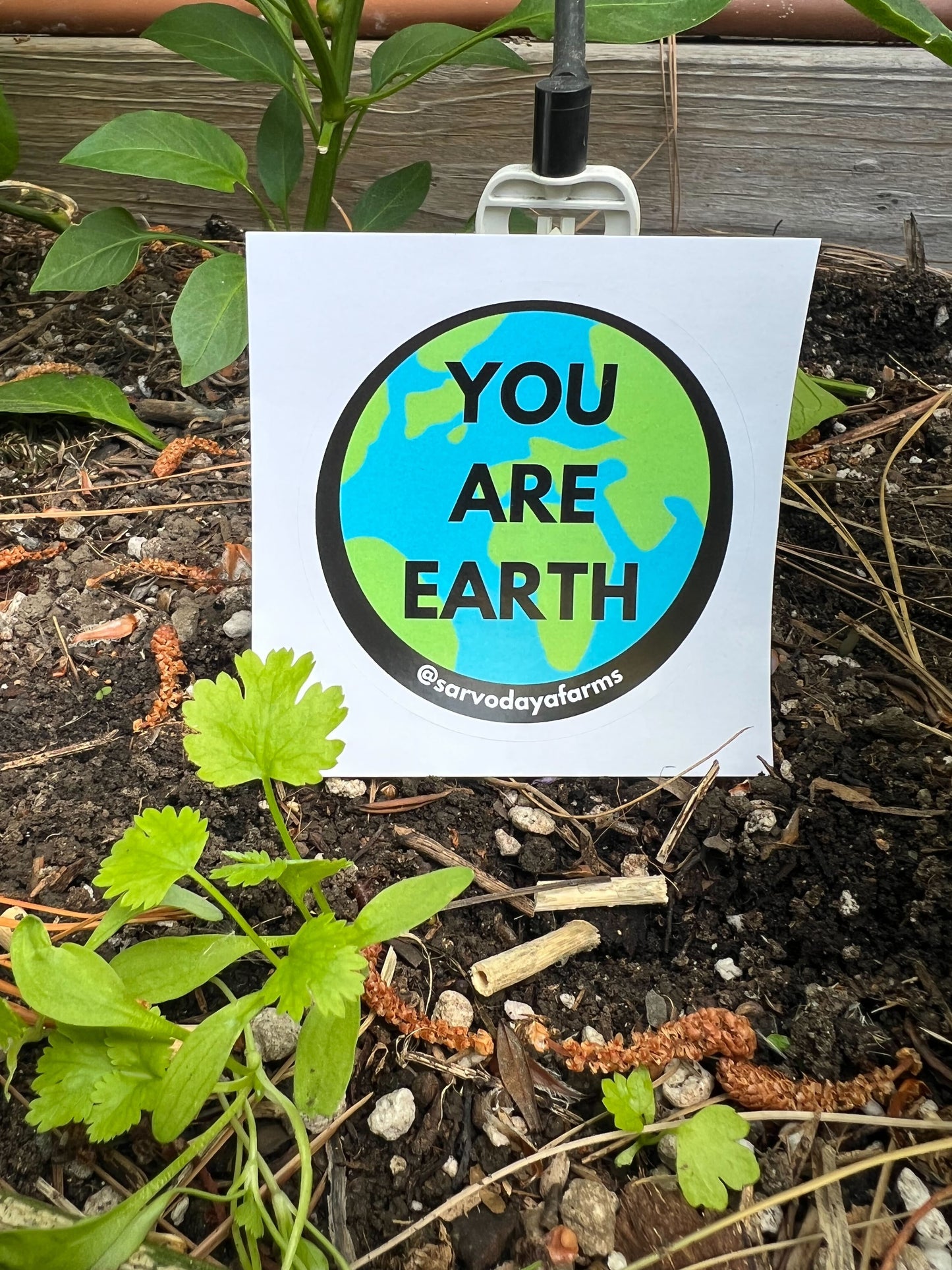 Sarvodaya Farms Sticker Pack #1