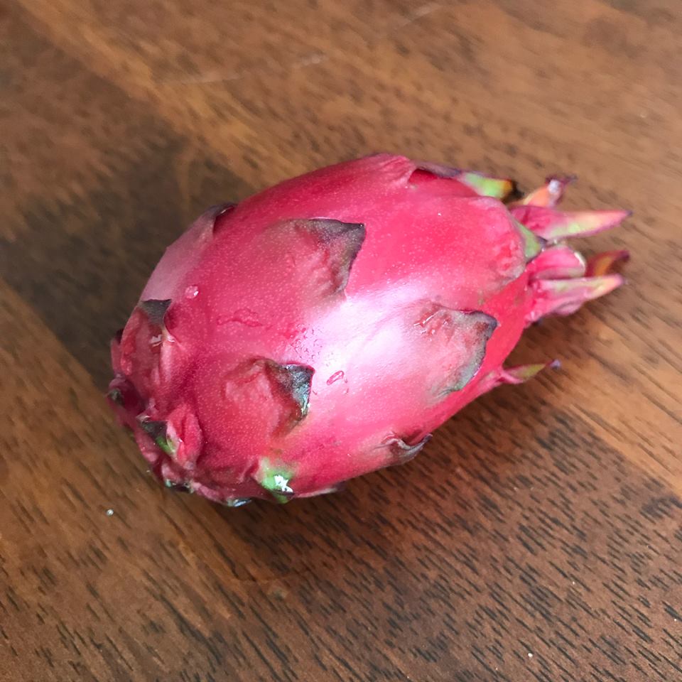 Dragonfruit, S8 Sugardragon