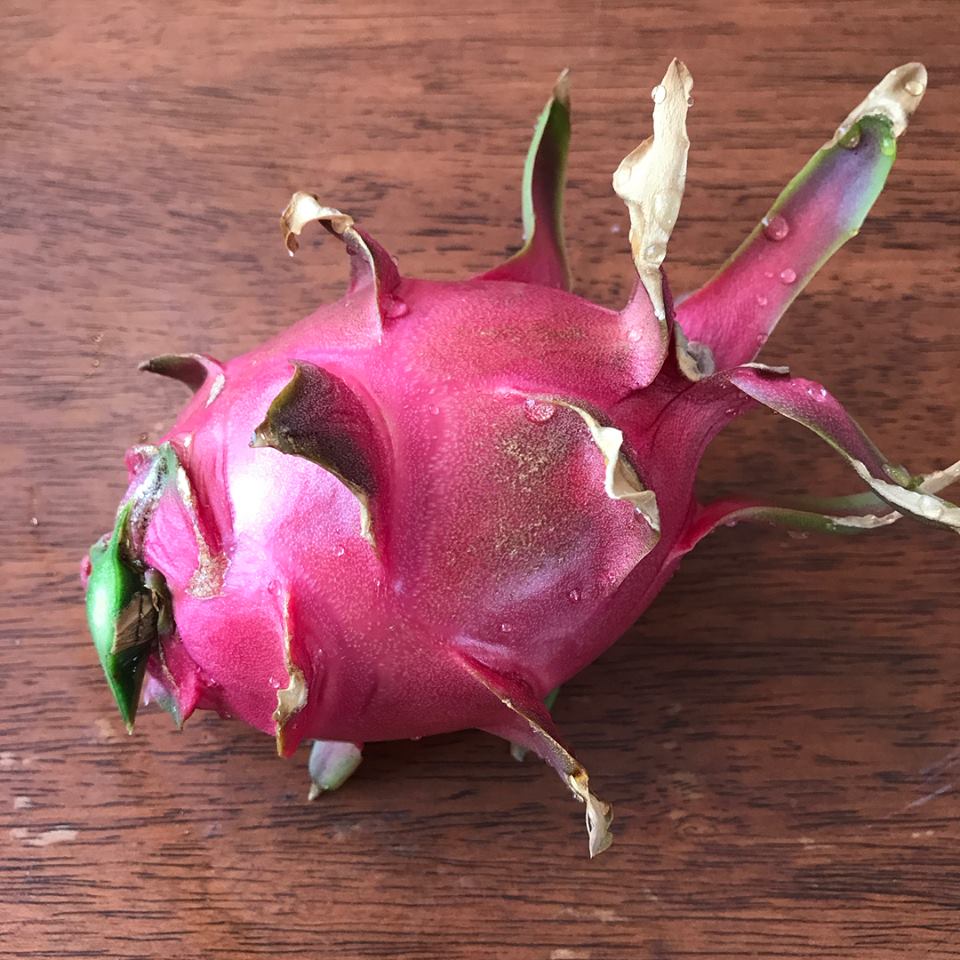 Dragonfruit, Vietnamese White