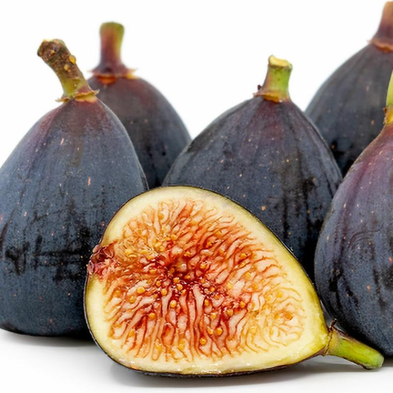 Fig, Blackjack