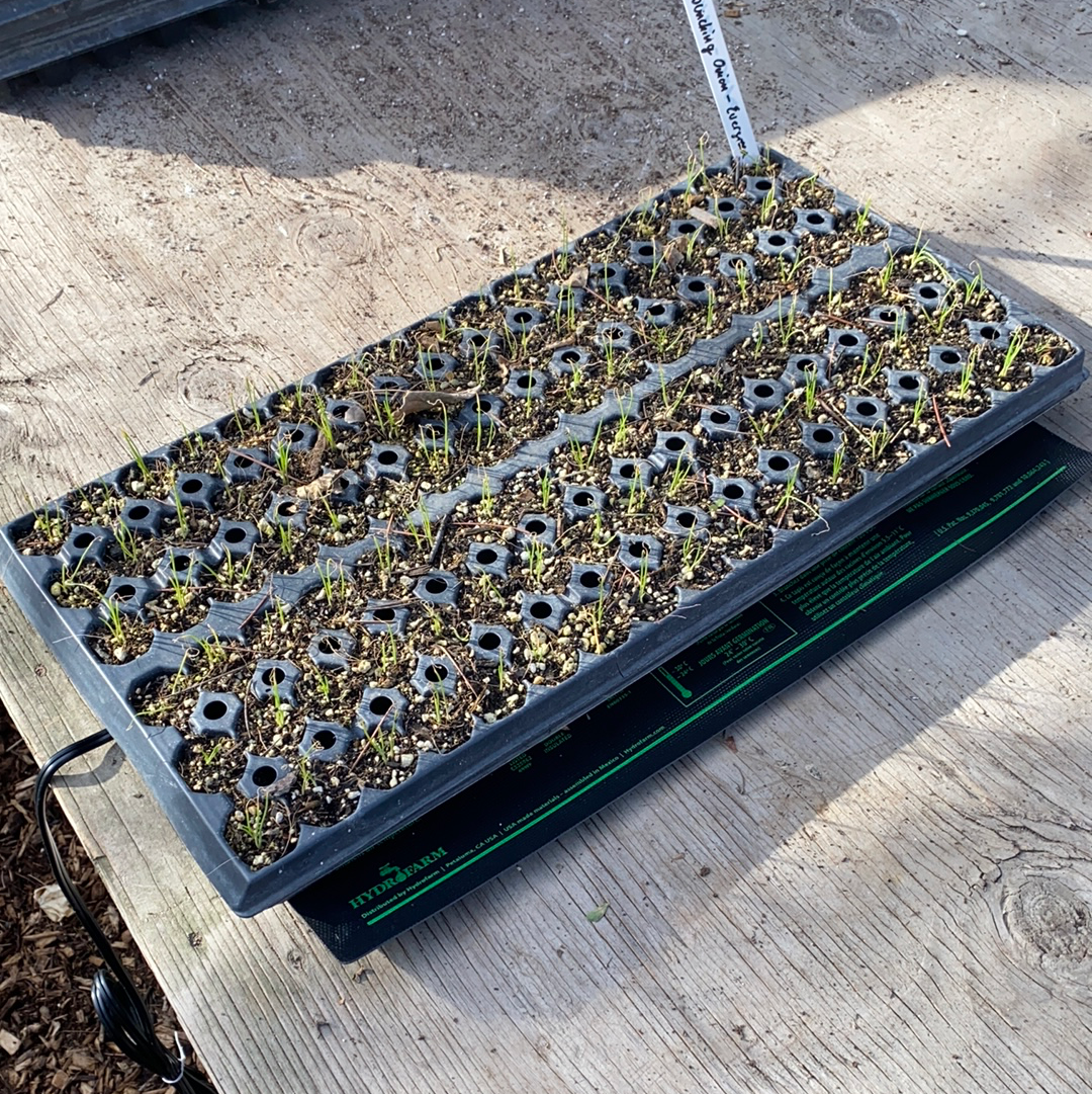 Seedling Heat Mat