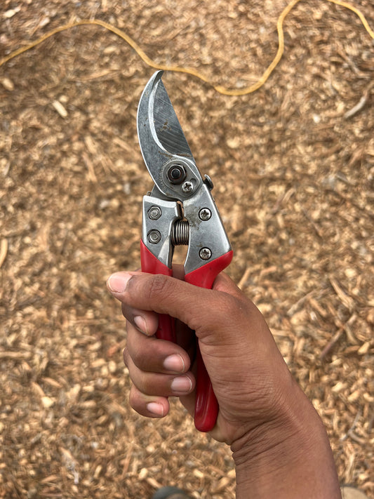 ARS VSX Japanese Hand Pruner