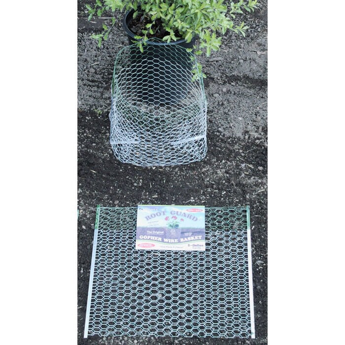 Root Guard Gopher Basket (5 gallon)