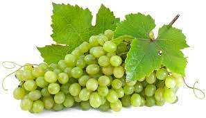 Grape, Niagra