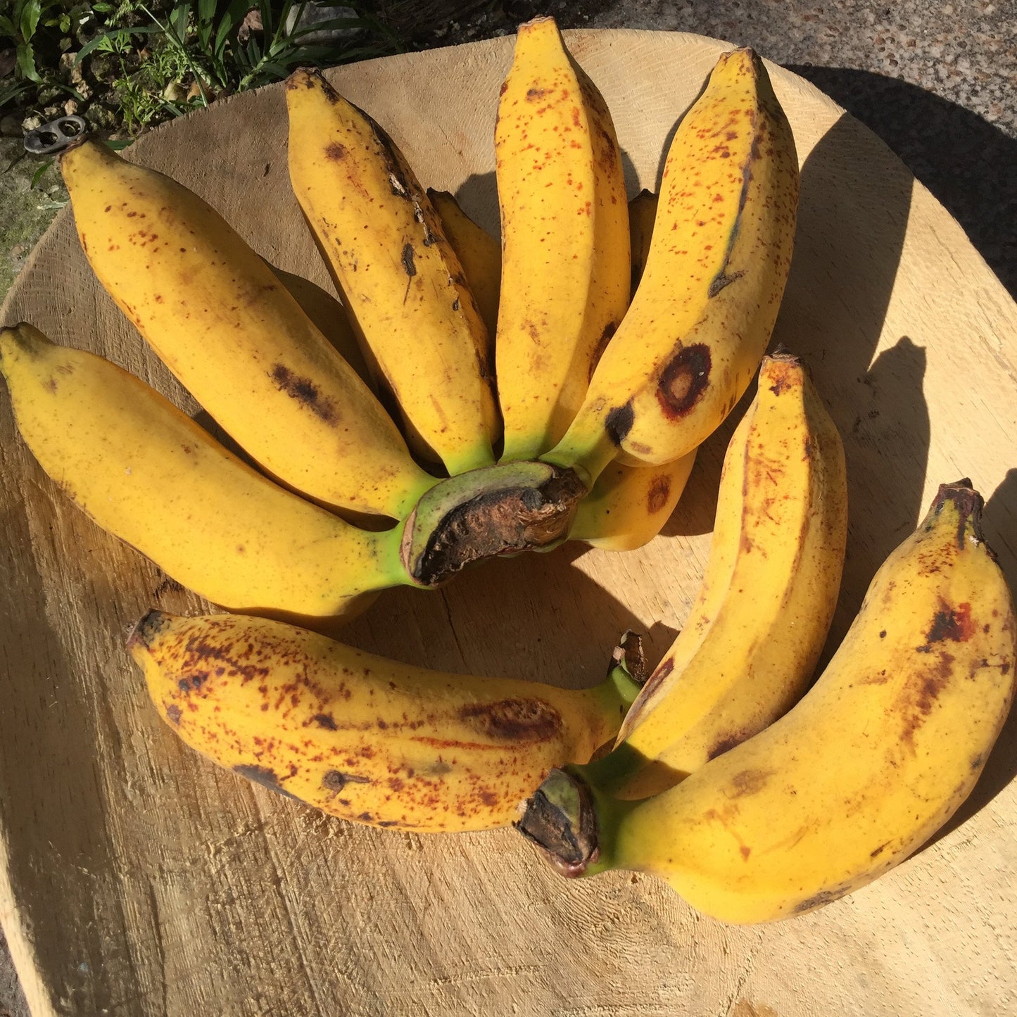 Banana, Pisang Raja