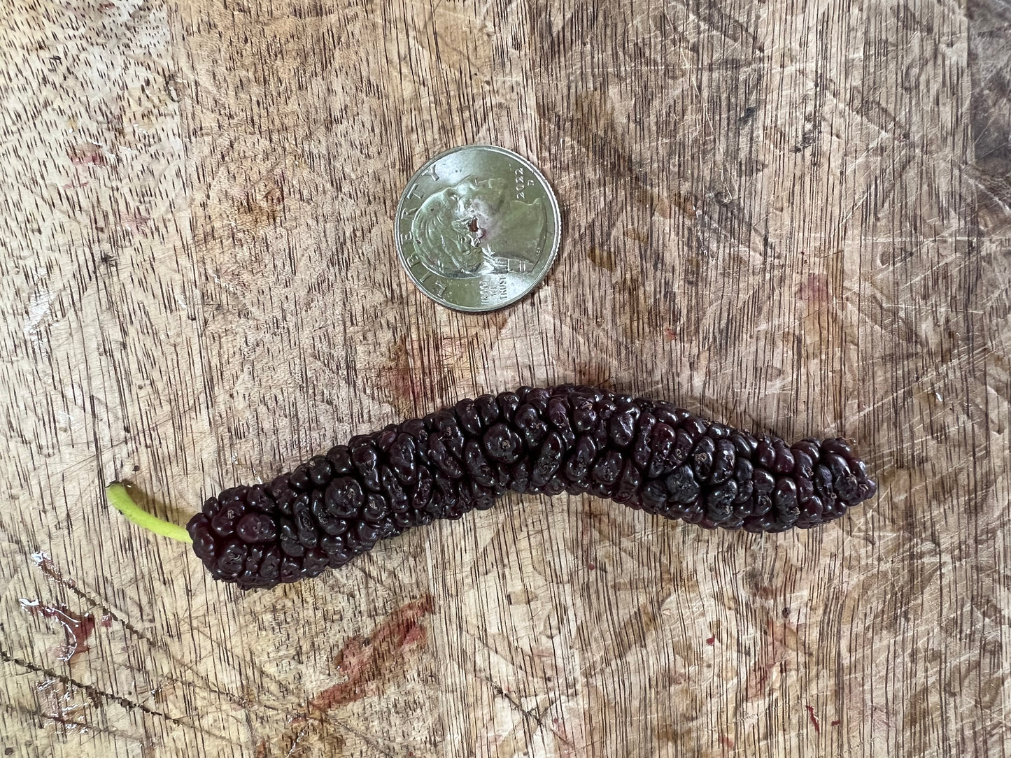 Mulberry, Pakistani Black