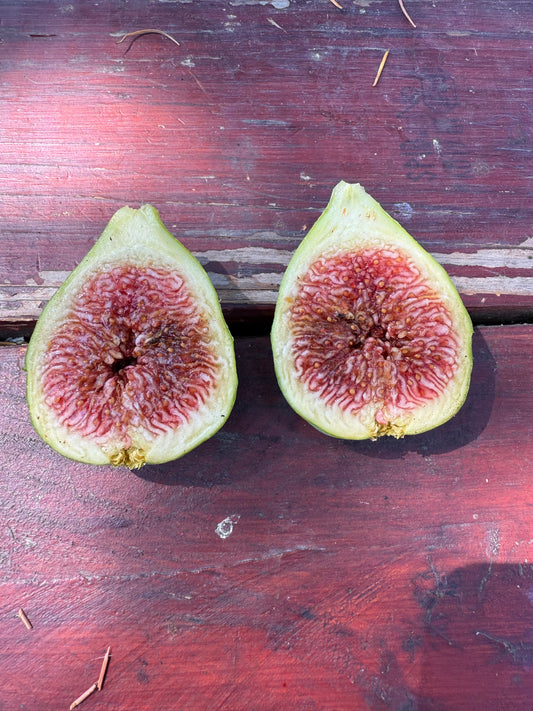 Fig, Verte/ Strawberry
