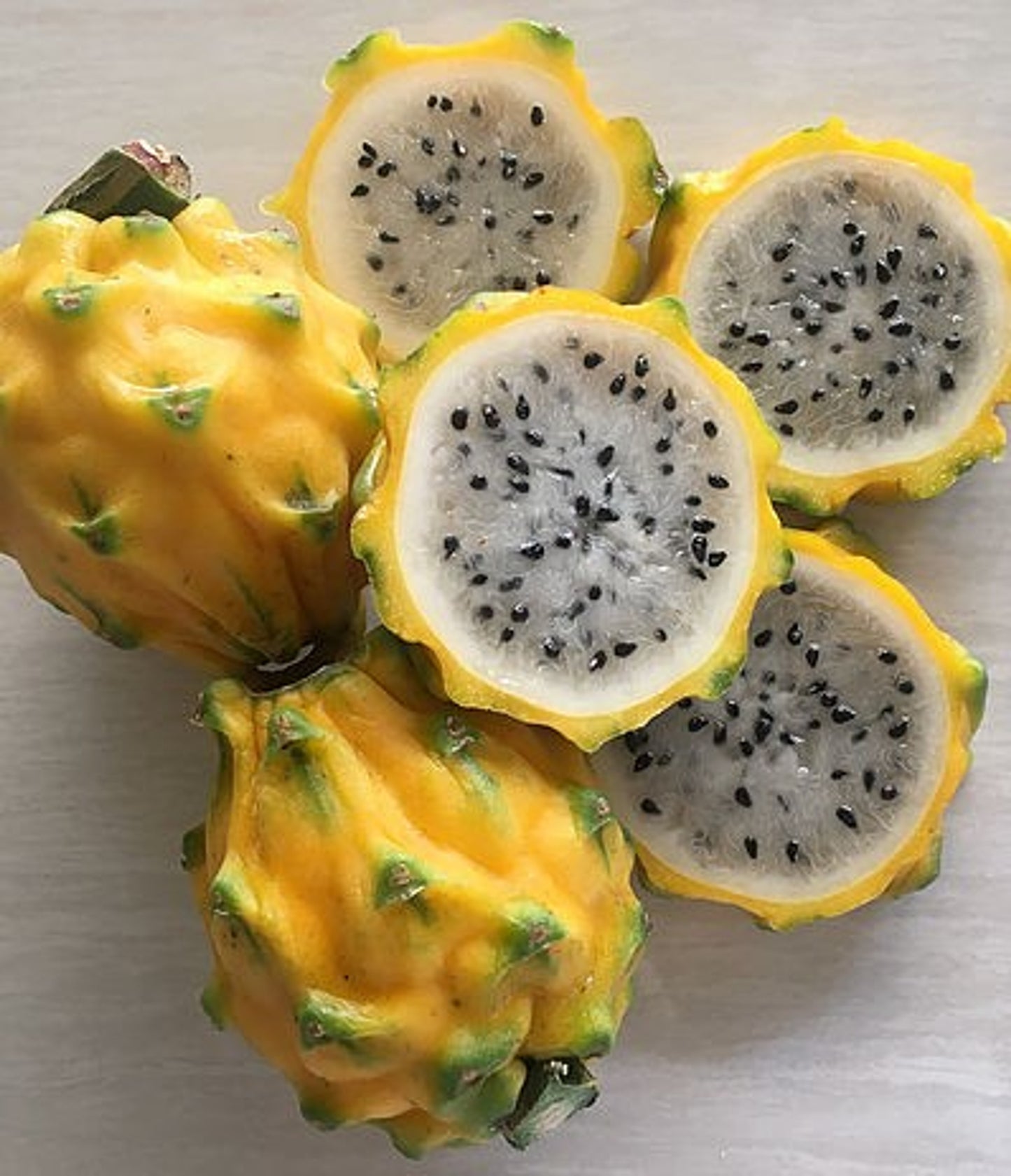 Dragonfruit, Palora Yellow