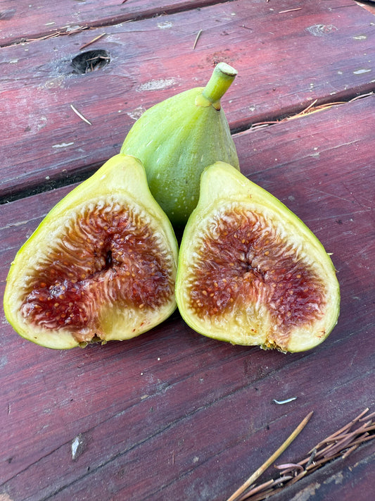 Fig, Desert King