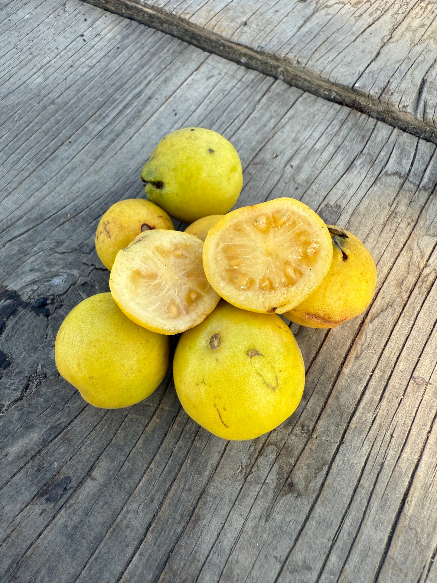 Lemon Guava