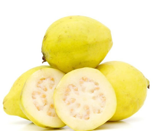 Guava, Cambodian White