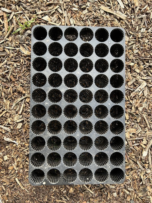 60 Cell Root Pruning Propagation Trays