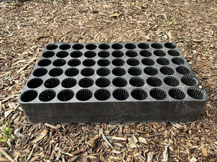60 Cell Root Pruning Propagation Trays