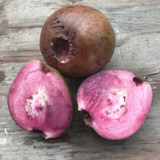 Guava, Purple Malaysian