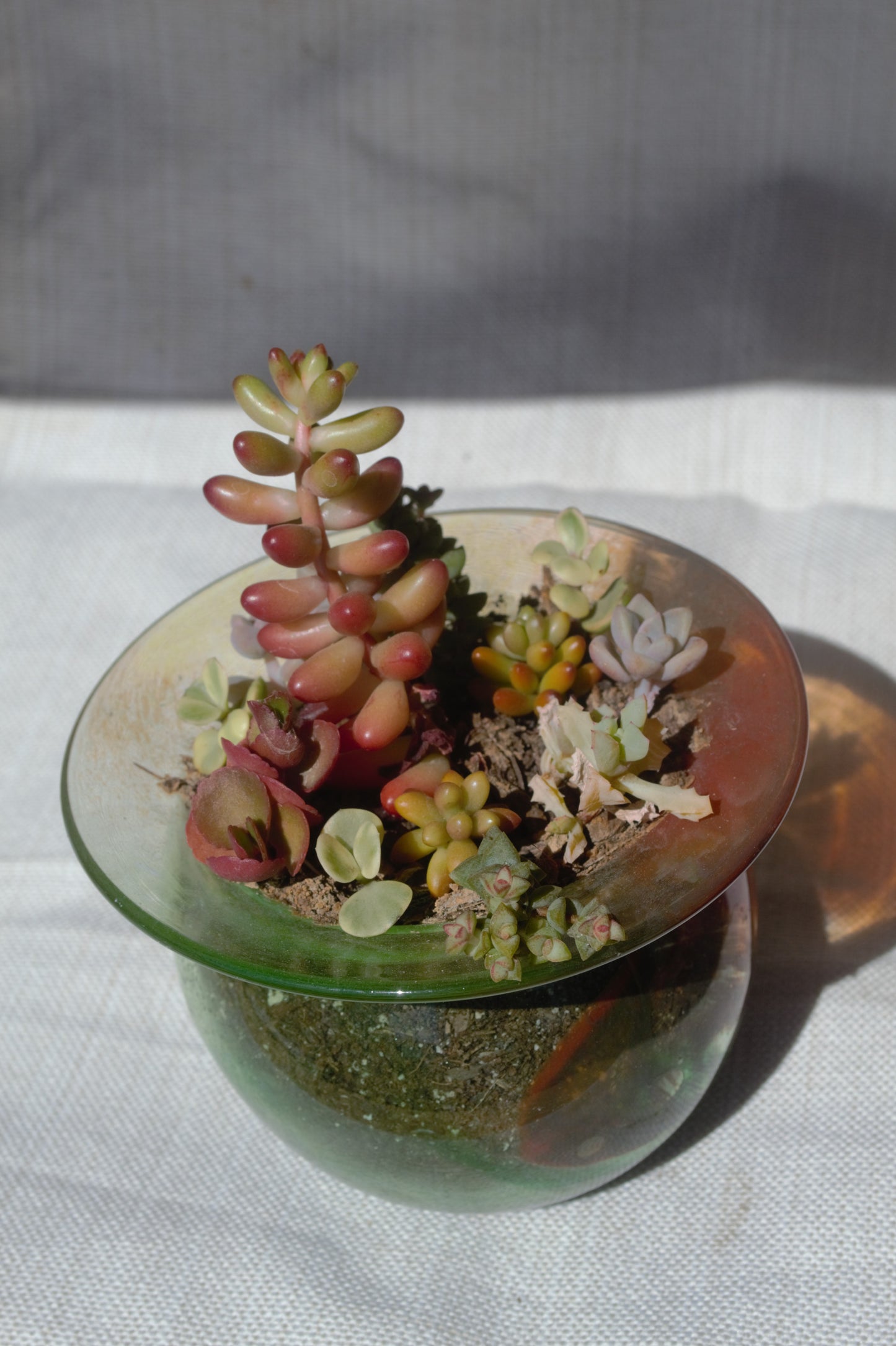 LOCAL ARTIST Features- Blown Glass by Lizz Redd