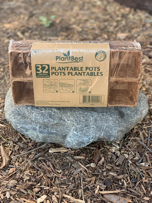 PlantBest Plantable Pots