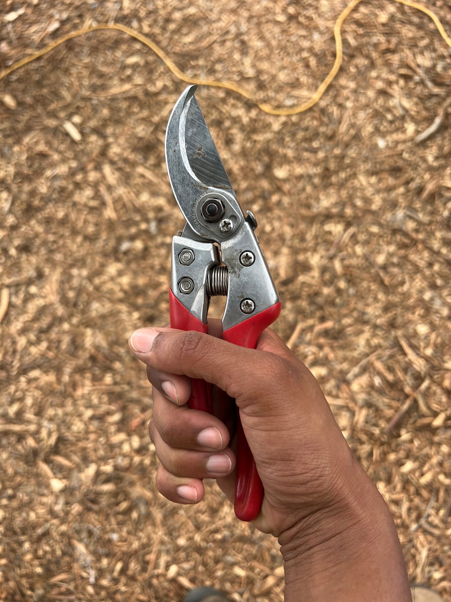 ARS VSX Japanese Hand Pruner