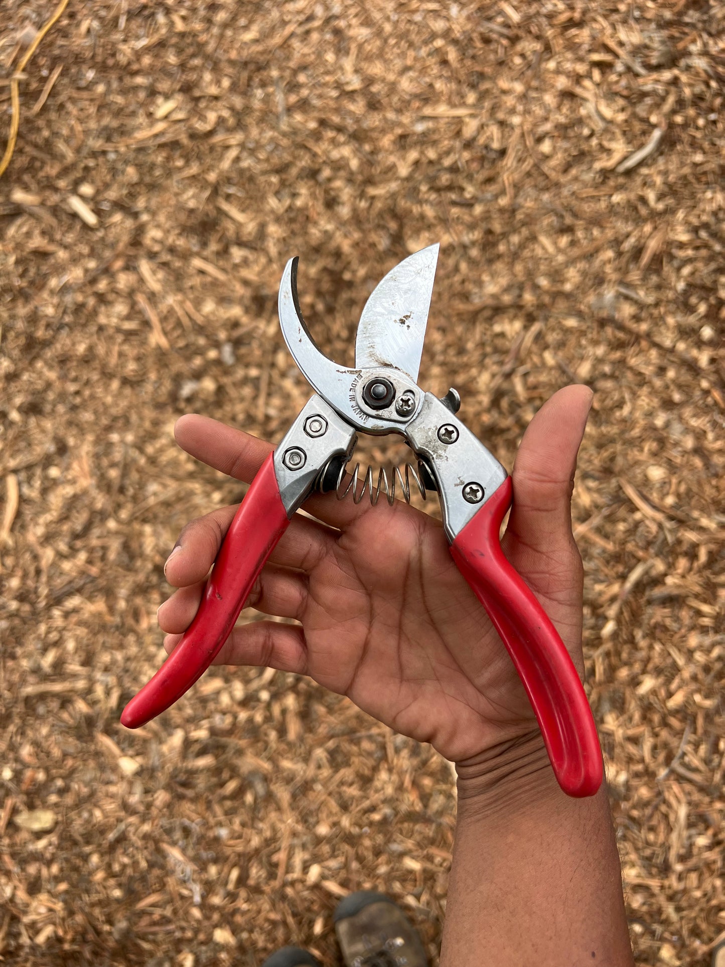 ARS VSX Japanese Hand Pruner