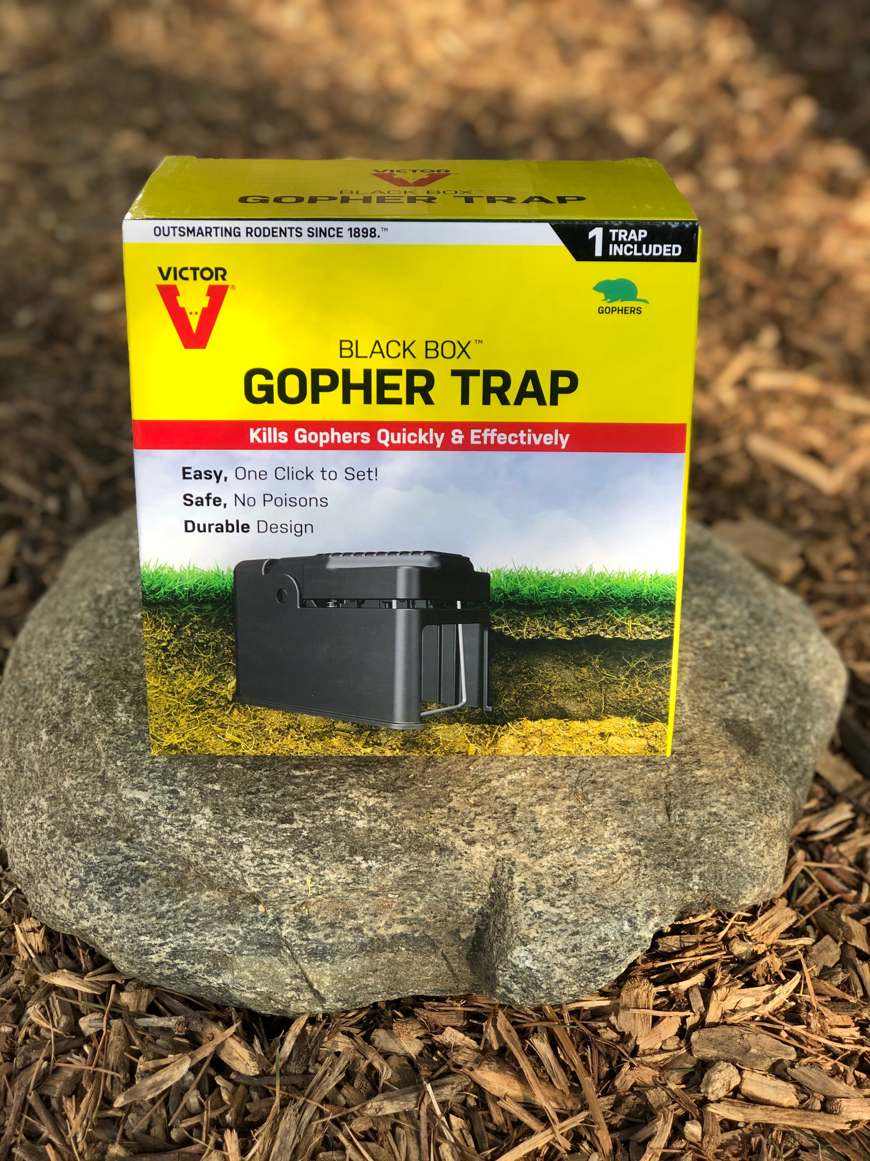 Victor The Black Box Gopher Trap 0625 Reusable Weather-resistant Victor Black Box Gopher Trap – Sarvodaya Institute